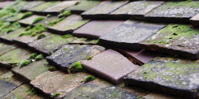 North Crawley roof repair costs